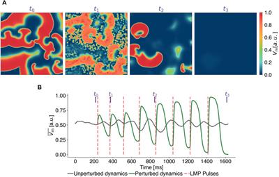 Chaos control in cardiac dynamics: terminating chaotic states with local minima pacing